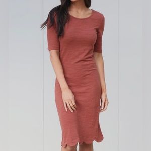 Mikarose Brittani Sheath Scallop Hem Midi Dress in Rust